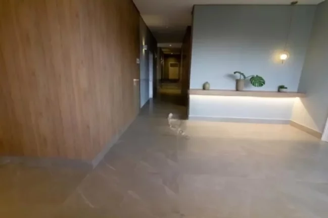 Imagem SPOTLIGHT BUTANTÃ - Apto de 61m² (Revenda), ótima localização, ao lado da estação do metrô Butantã!