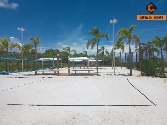 Imagem LOTES EM PRAIA DO FORTE