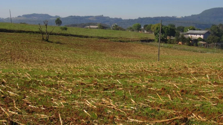 Imagem Terreno para Venda em Concórdia, Santo Antônio