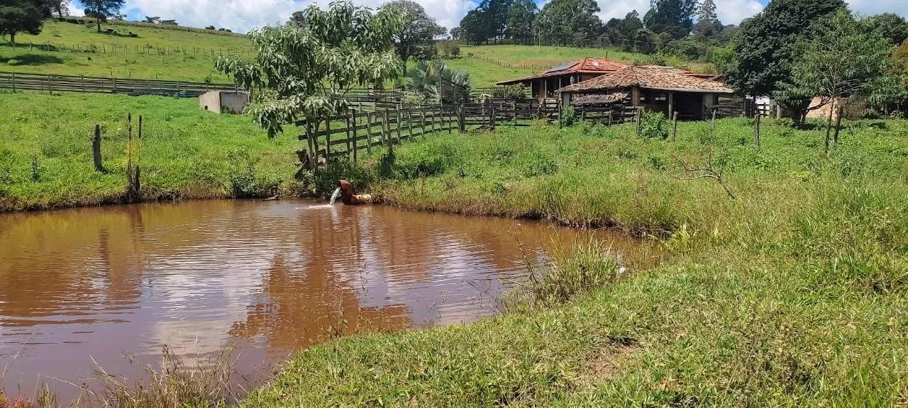 Imagem vendo um belo sítio em Piedade dos Gerais /MG com 12 hectares de terra ( 120.000 m² ),