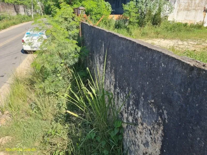 Imagem Terreno Comercial para Venda em DUQUE DE CAXIAS, Figueira