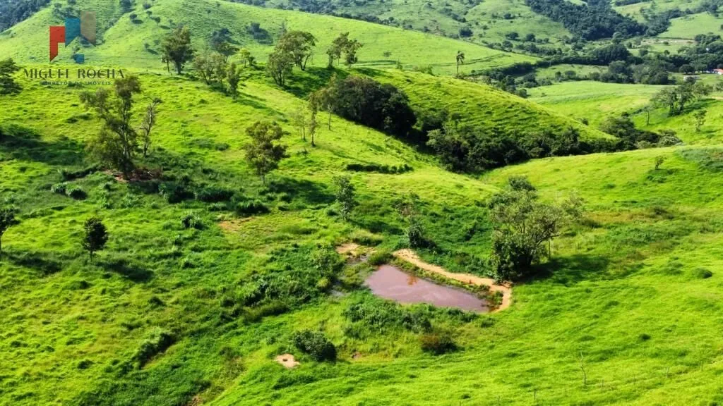 Imagem Fazenda região de Itapira SP