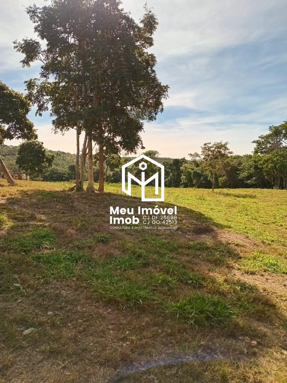 Imagem Fazenda 3 Quartos 1 Suíte 3 Vagas 200m² Luziânia/GO