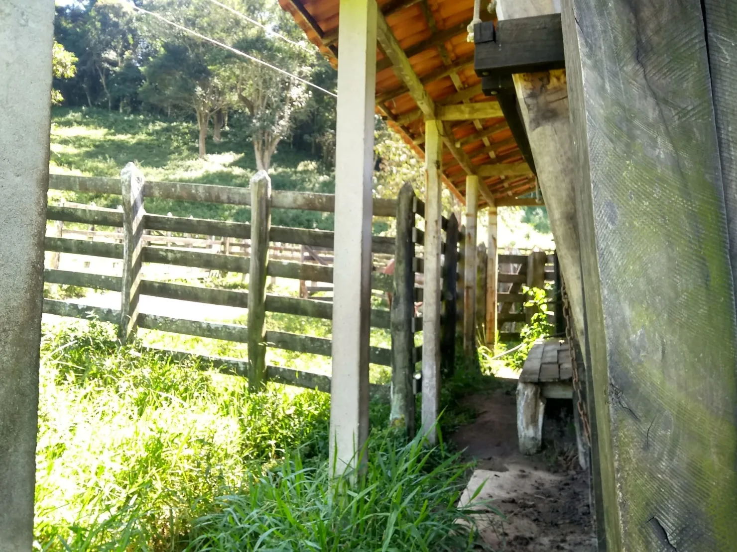 Imagem Chácara à venda 2 Quartos, 768000M², Zona Rural, Cunha - SP