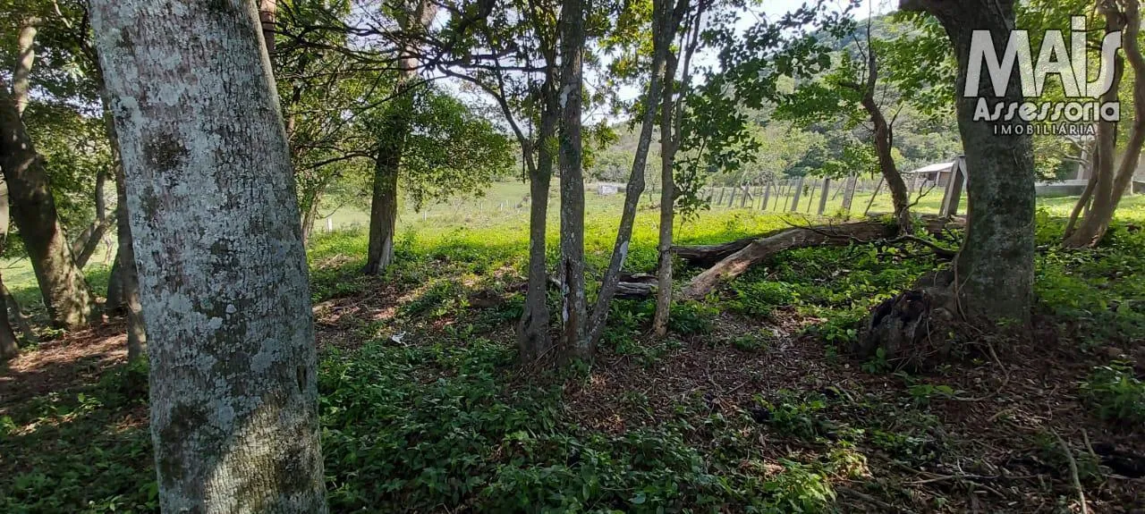 Imagem Terreno para Venda em Santo Antônio da Patrulha / RS