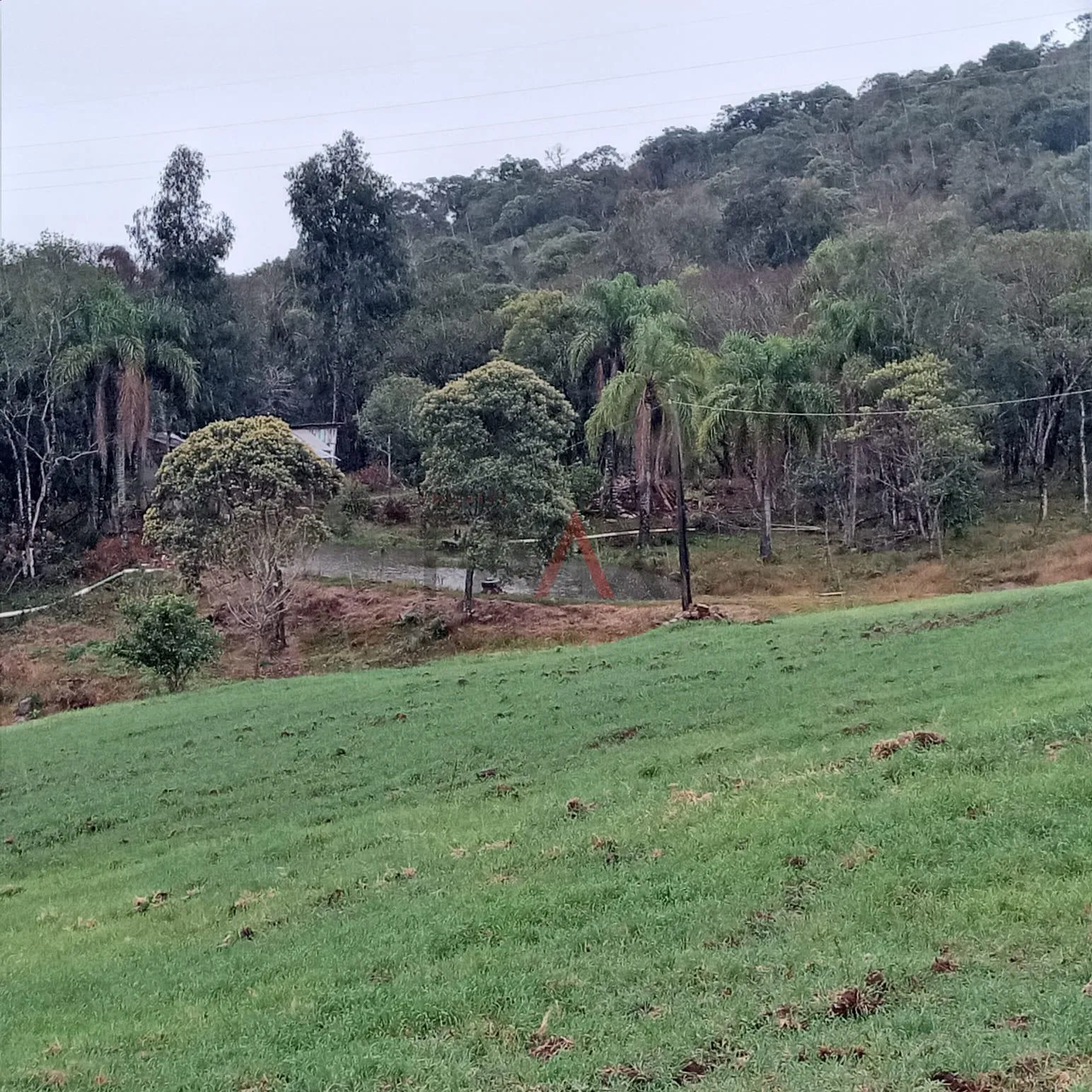 Imagem Chácara, JORDÃO, GUARAPUAVA - PR