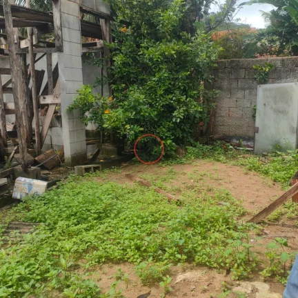 Imagem TERRENO A VENDA NO SERTÃO DO PIAVÚ COM UMA LOJA CONSTRUÍDA JÁ NA LAJE