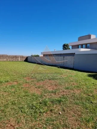 Imagem Terreno Condomínio - Cravinhos - Jardim Alto das Acácias
