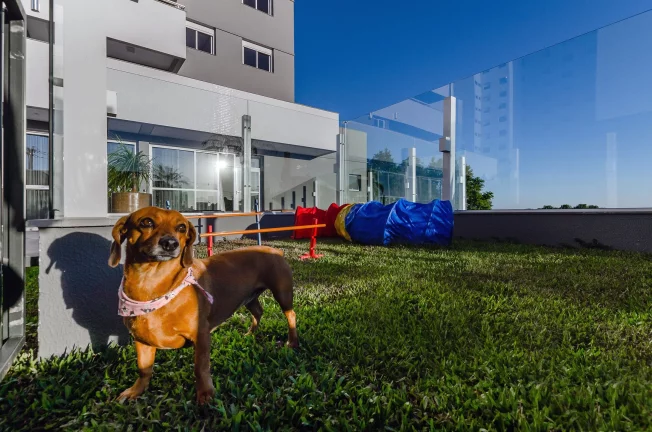 Imagem Apartamento 3 quartos sendo 1 suíte para venda no bairro Panazzolo em Caxias do Sul