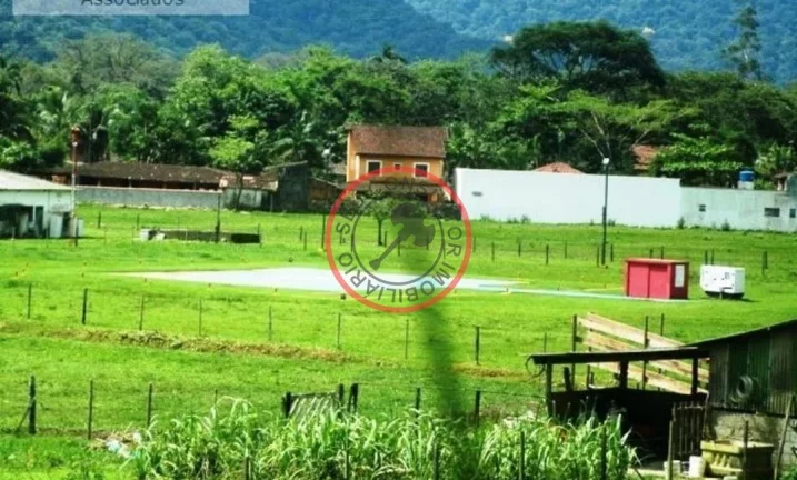 Imagem FAZENDA COM 55 MIL METROS DE AREA UTIL EM SAO SEBASTIAO