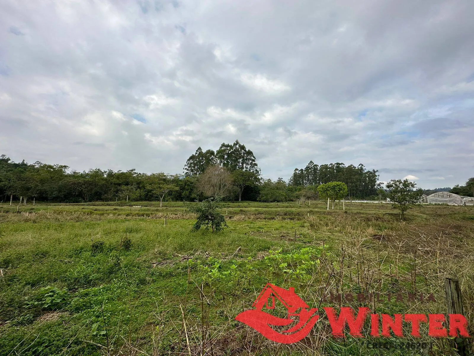 Imagem Chácara com 3,5 hectares com imóvel em Roncador
