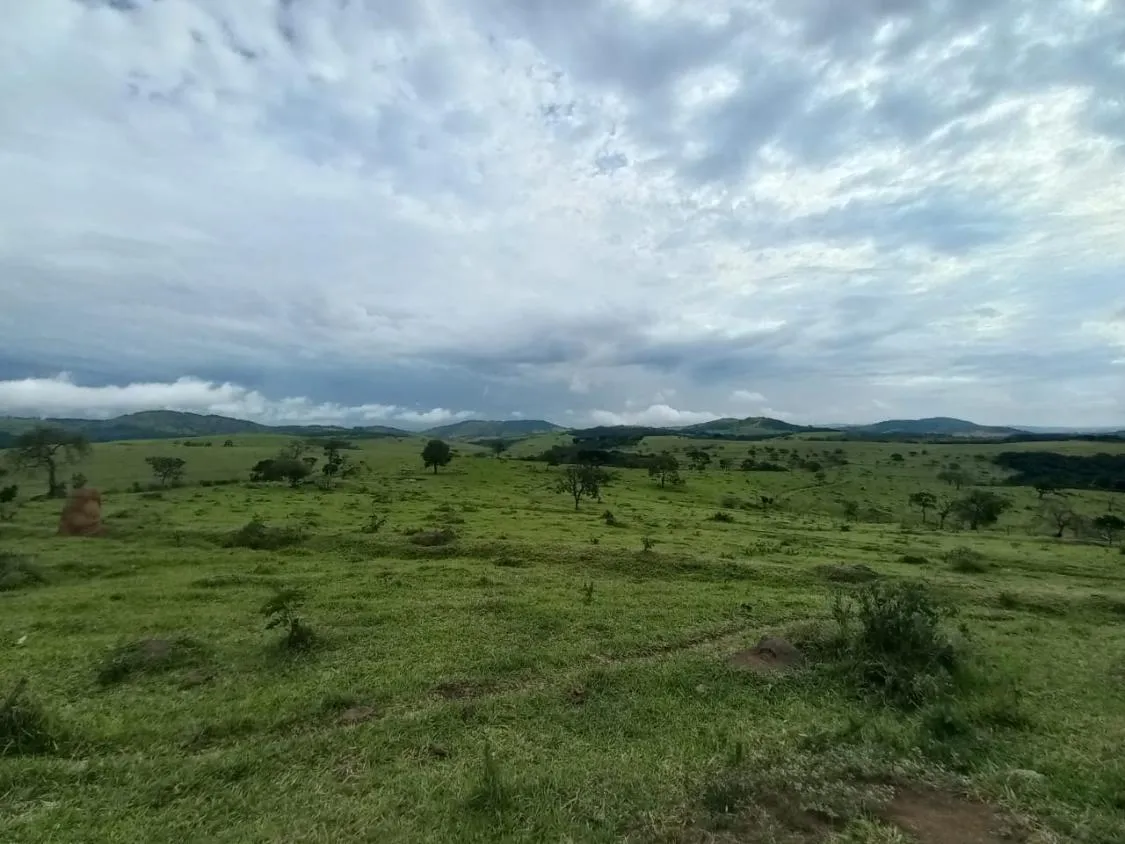 Imagem FAZENDA DE ALTO PADRÃO À VENDA - SUL DE MINAS 1.488 hectares de área total