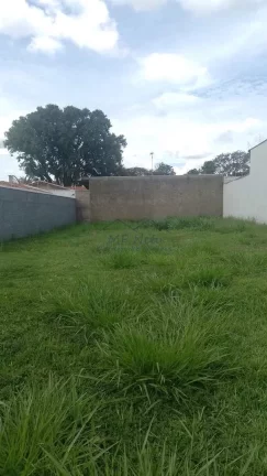 Imagem Terreno Padrão