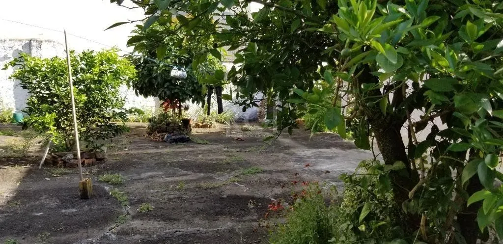 Imagem Oportunidade Para Construtora Comprar
