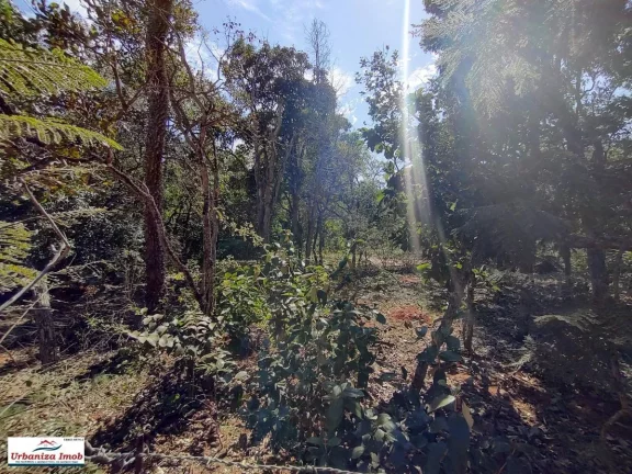 Imagem Chácara à Venda na Estrada EW 03 na Chácara dos Poderes em Campo Grande/MS com 5.000m2