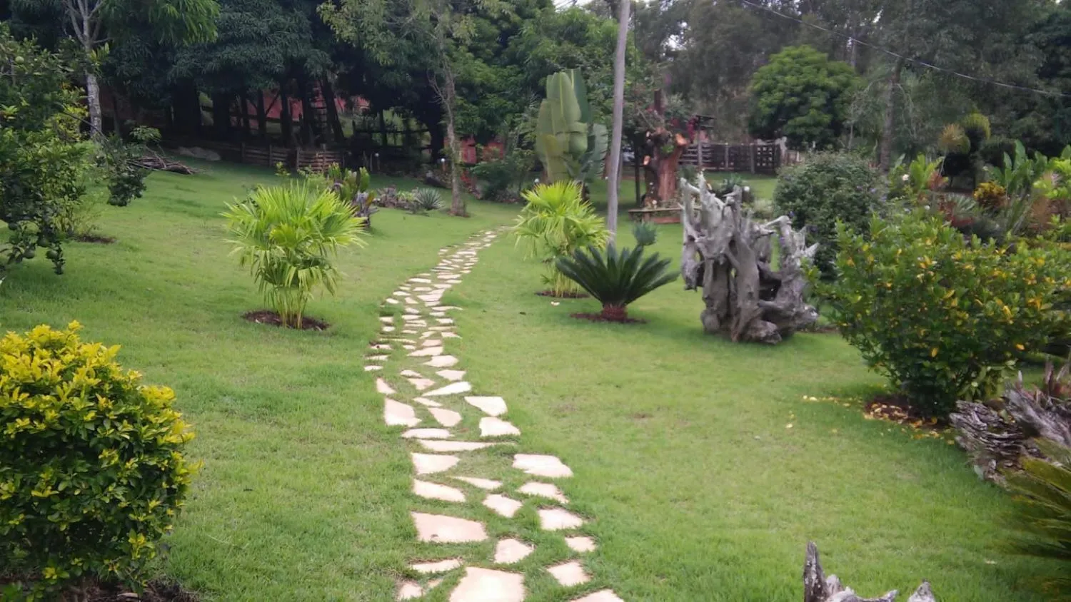 Imagem Vendo um belíssimo sítio em Carmópolis de Minas com 10 hectares de terra,