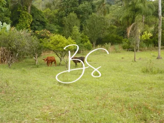 Imagem SITIO RURAL em NOVA PETRÓPOLIS - RS, Linha Temerária