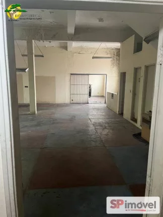 Imagem PREDIO C/ 1.000 M², 3 PAVIMENTOS E 4 VAGAS NA VILA ALBERTINA