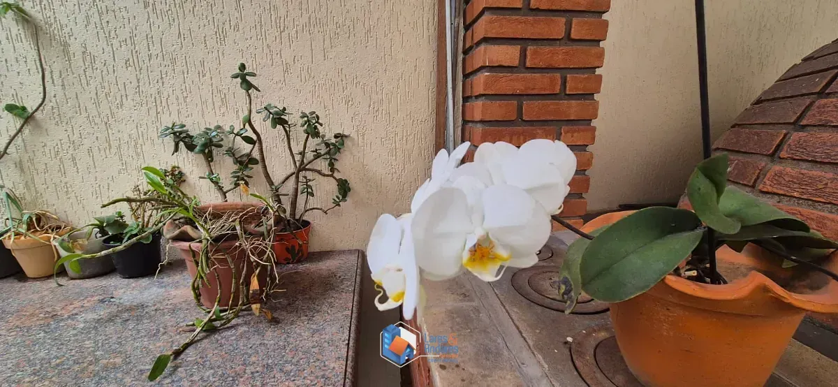 Imagem Casa para venda em Jardim Virginia Bianca com 4 quartos, sendo 4 suítes, 297m²