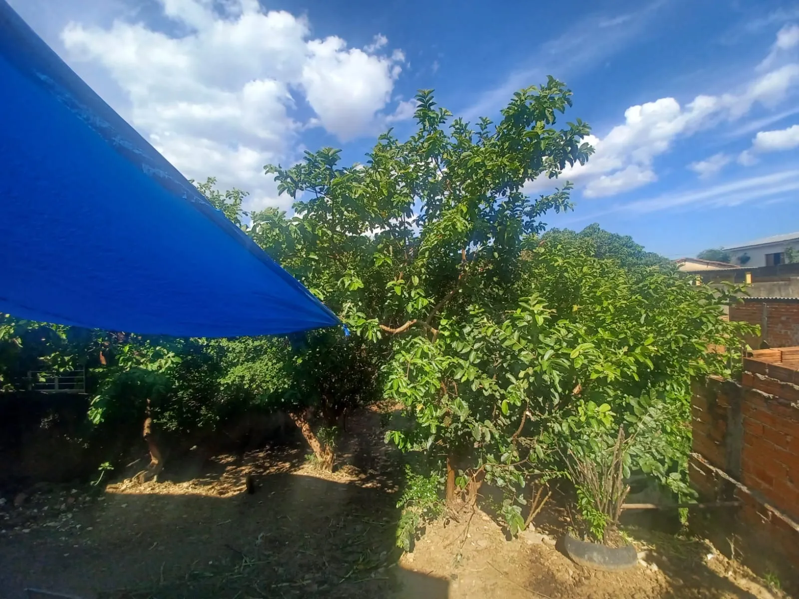 Imagem Encantadora Casa no Parque Bela Vista - Perfeita para Residência ou Negócio!