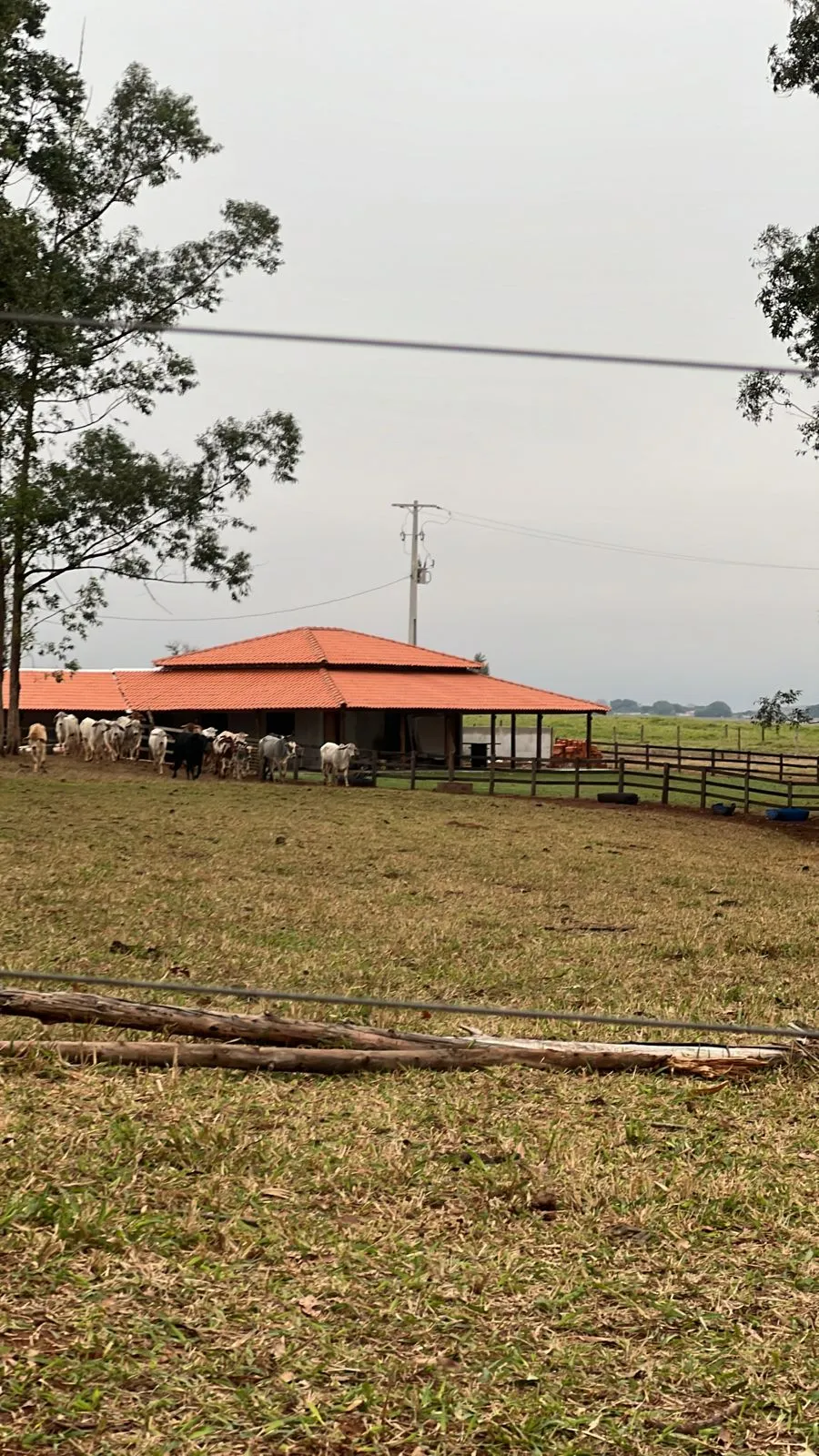 Imagem Chácara 20000m Umuarama-PR 344