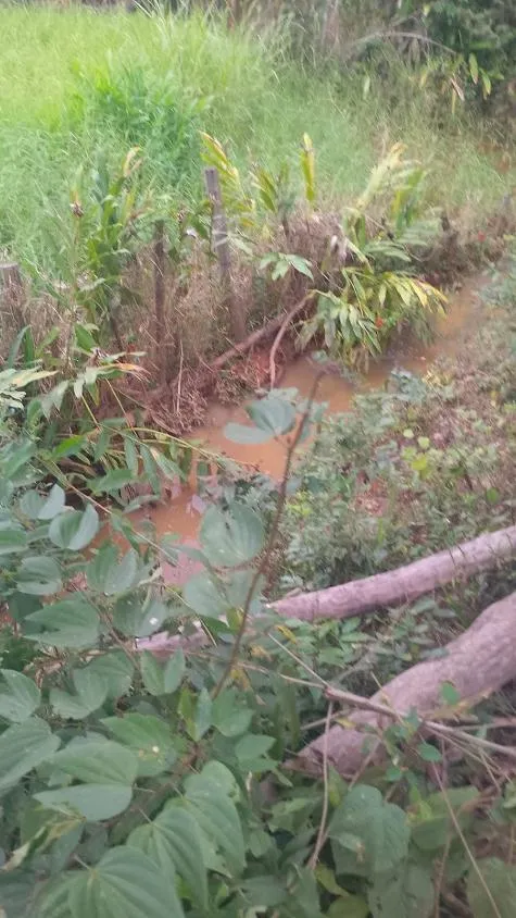 Imagem VENDO FAZENDINHA NA REGIÃO DE Brumadinho / MG Área total de 14 hectares