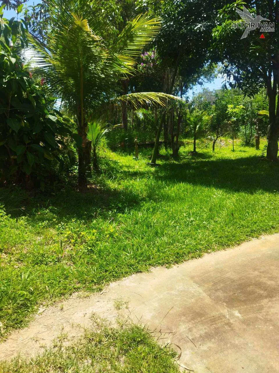 Imagem Mini Fazenda em Curvelo