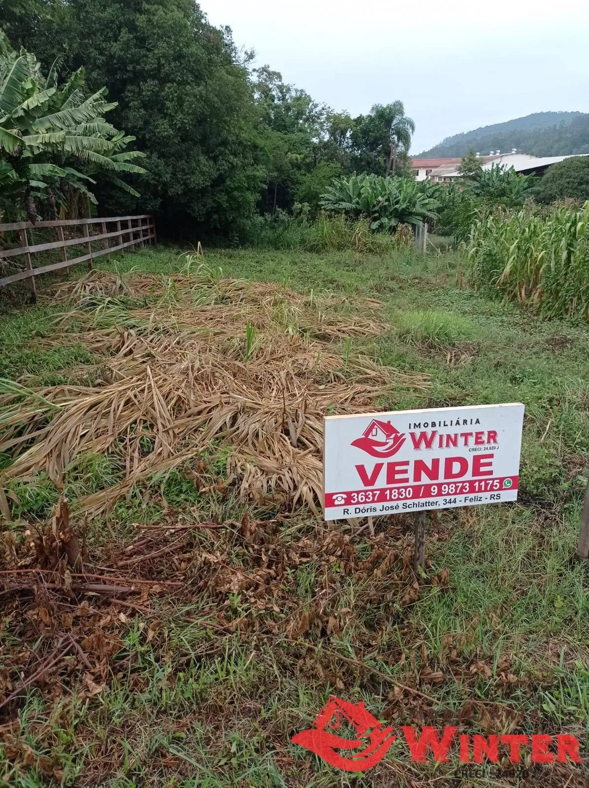 Imagem Terreno de 360m² no Centro de Tupandi.