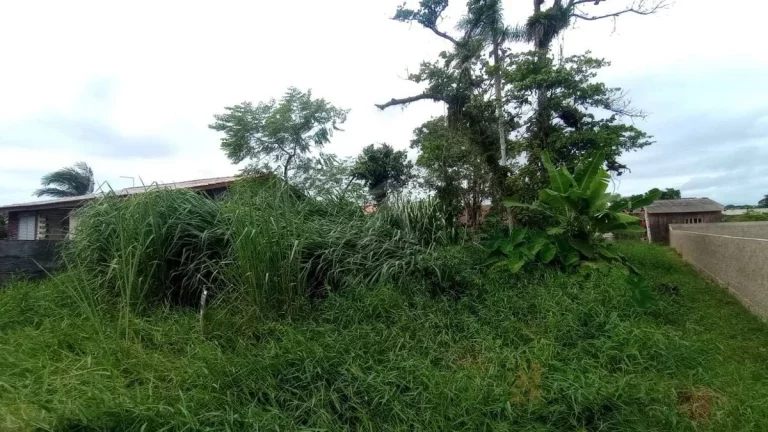 Imagem TERRENO, 592M², BALNEÁRIO DAS PALMEIRAS