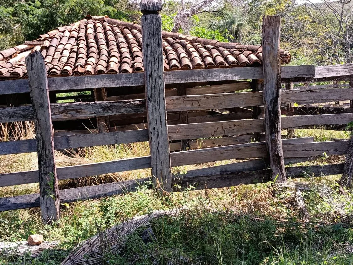 Imagem FAZENDA À VENDA EM SANTANA DO PIRAPAMA ? MG , com 338 hectares de terra