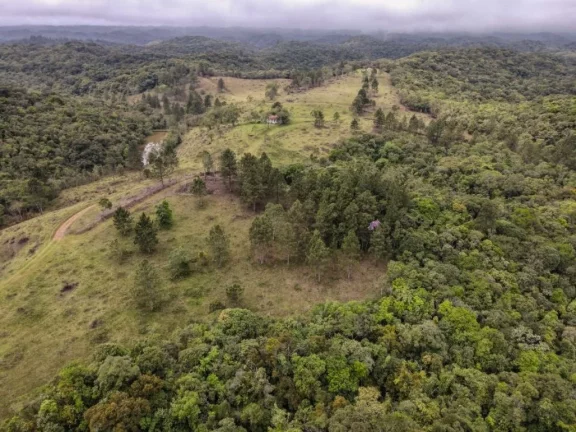 Imagem Fazenda à venda de 118,75 hectares em Embu Guaçu!!! Oportunidade incrível!