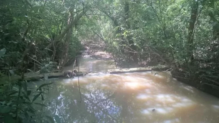 Imagem Lindo sitio a venda em Tatuí/SP