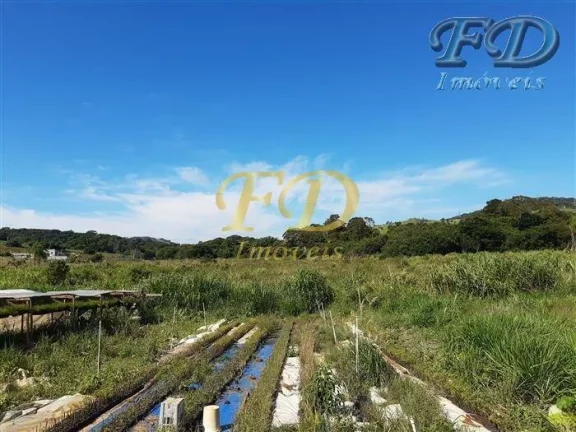 Imagem EXCELENTE SÍTIO EMATIBAIA-SP Características: 3,5 alqueires de área total (aprox. 75.000,00 m²) ...