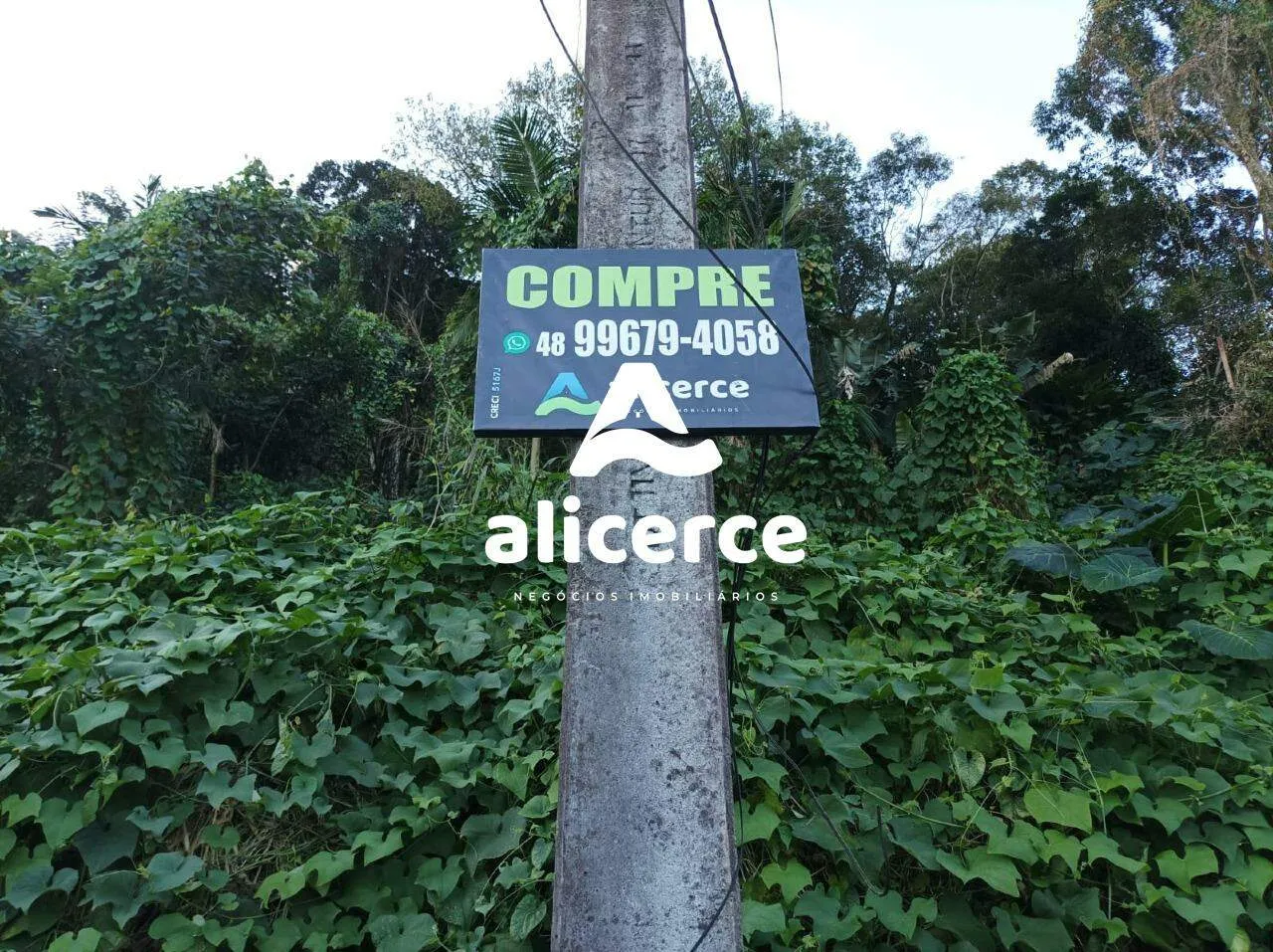 Imagem Terreno á venda l 1000m² l Costeira do Pirajubaé - Florianópolis/SC