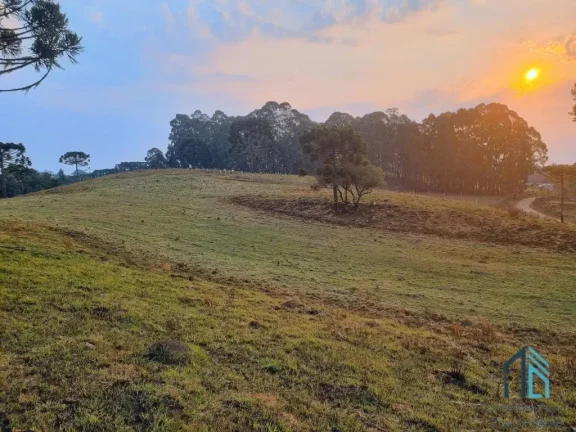Imagem Sítio/Chácara a venda com 33 hectares bem localizado no interior de São Joaquim - SC