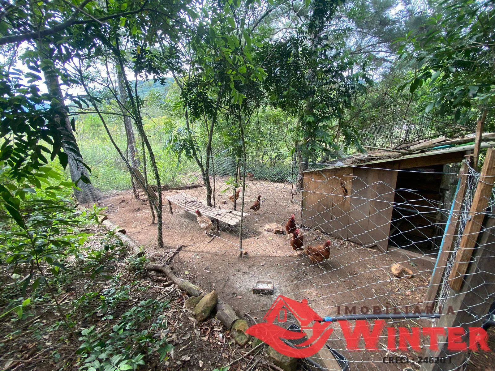 Imagem Área de terras com 6,3 hectares em São Roque, Feliz.