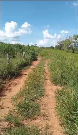 Imagem Chácara à venda no bairro Centro - Barro Alto/GO