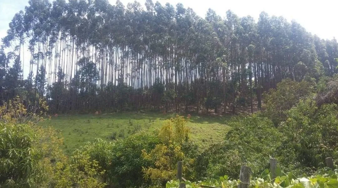 Imagem Chácara à venda 4 Quartos, 4 Suites, 1452000M², Zona Rural, Salesópolis - SP