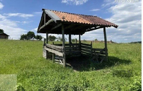 Imagem Área 20.000m2 - Bairro Belém Velho