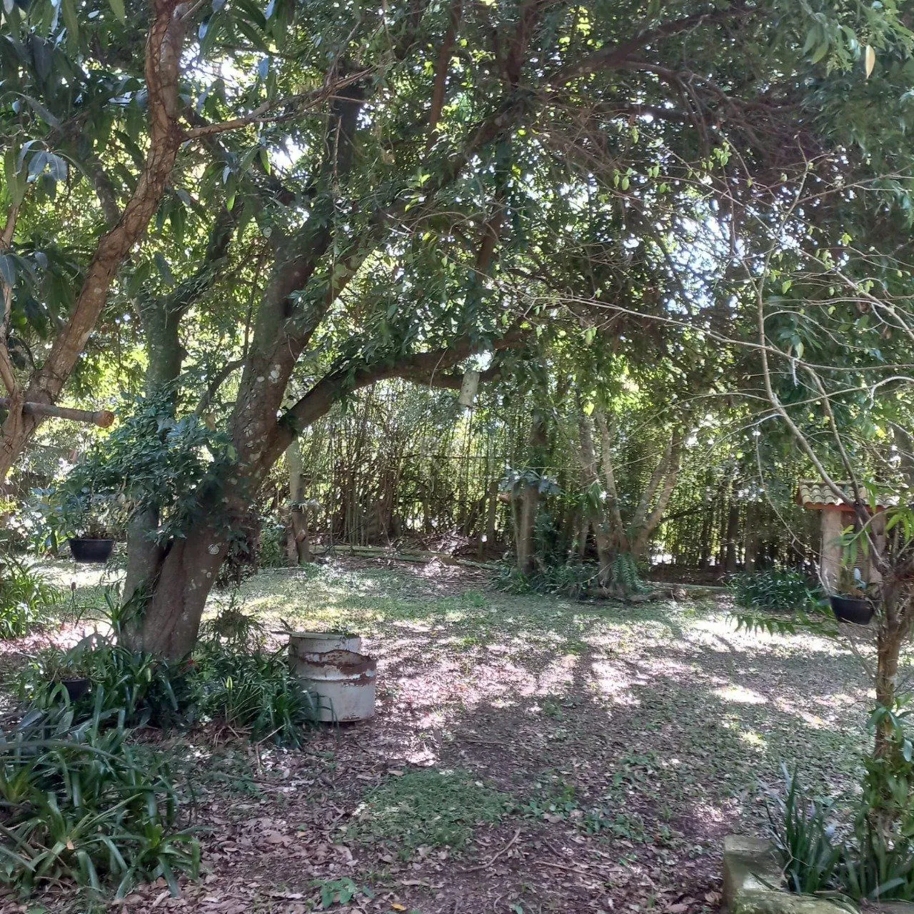 Imagem Terreno para Venda - 0m², 0 dormitórios, Belém Novo, Porto Alegre