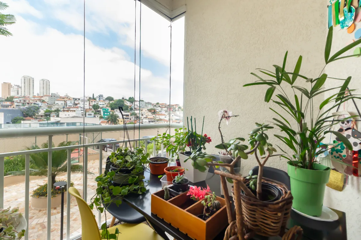 Imagem Apartamento para venda em Vila Vitório Mazzei - Agua Fria com 2 quartos, sendo 1 suíte, 63m2