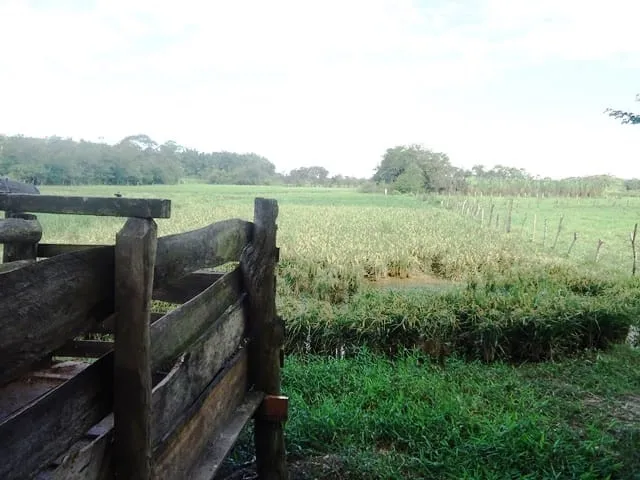 Imagem Chácara à venda 55693.88M², Bom Sucesso, Pindamonhangaba - SP