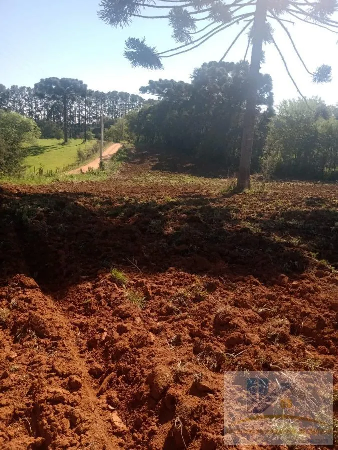 Imagem Terreno para Venda em São José dos Pinhais, Campo Largo da Roseira