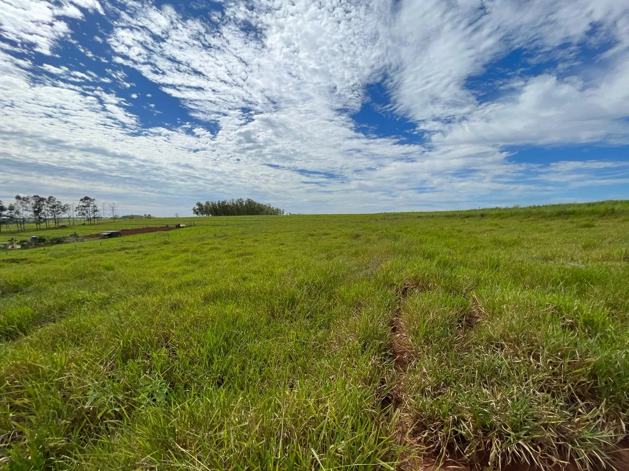 Imagem Chácara 24.19m Umuarama-PR 239