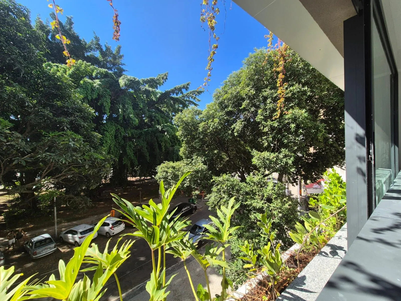 Imagem Apartamento à venda no bairro Glória em Rio de Janeiro/RJ