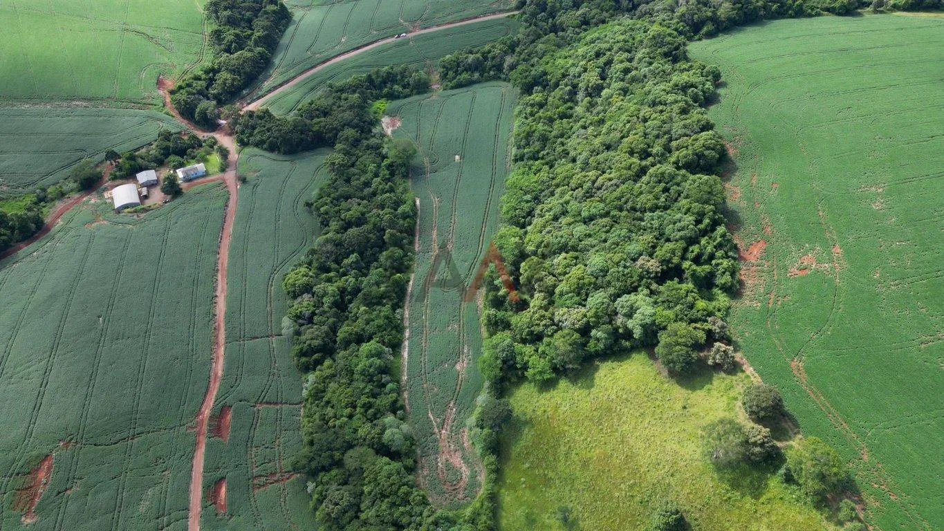Imagem Àrea de plantio a venda em PITANGA - PR, 12ha sendo 10ha de plantio.
