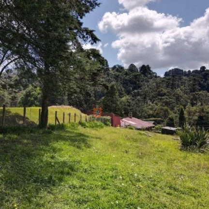Imagem Terreno à venda, 1330 m² por R$ 585.000 - Jardim Do Embaixador - Campos do Jordão/SP