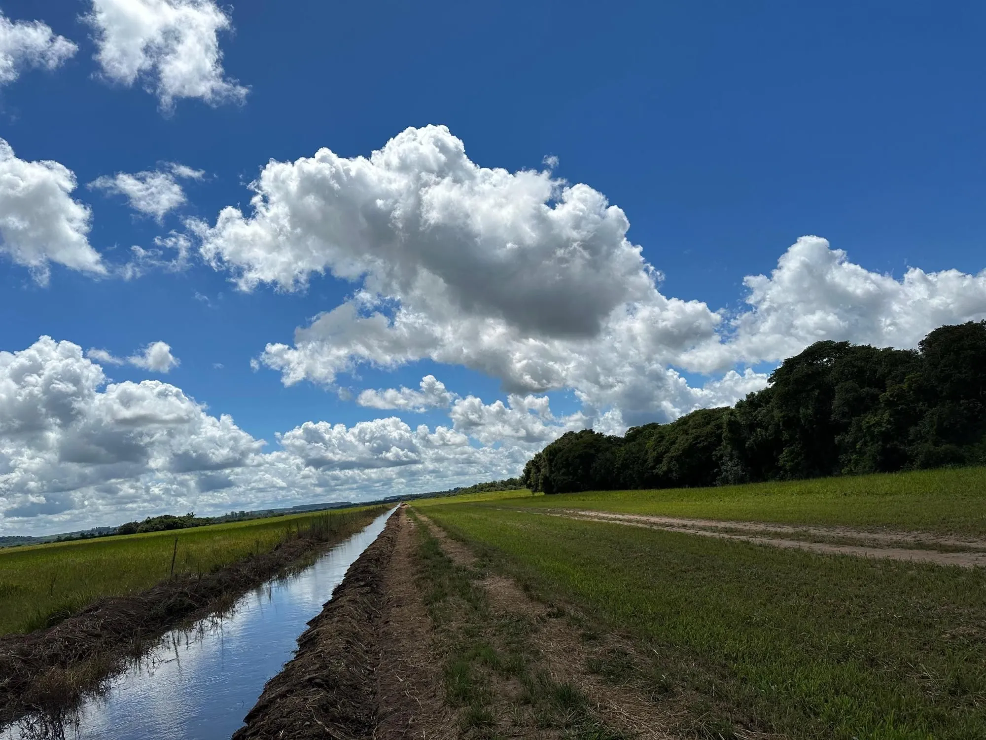 Imagem Fazenda à venda no Vale Verde - RS - 433 hectares. Ideal para Arroz e Soja.