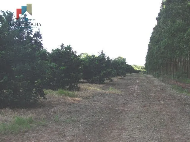 Imagem Fazenda região de Itapetininga SP