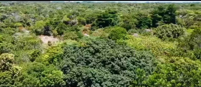 Imagem Fazenda Prazeres Piracanga